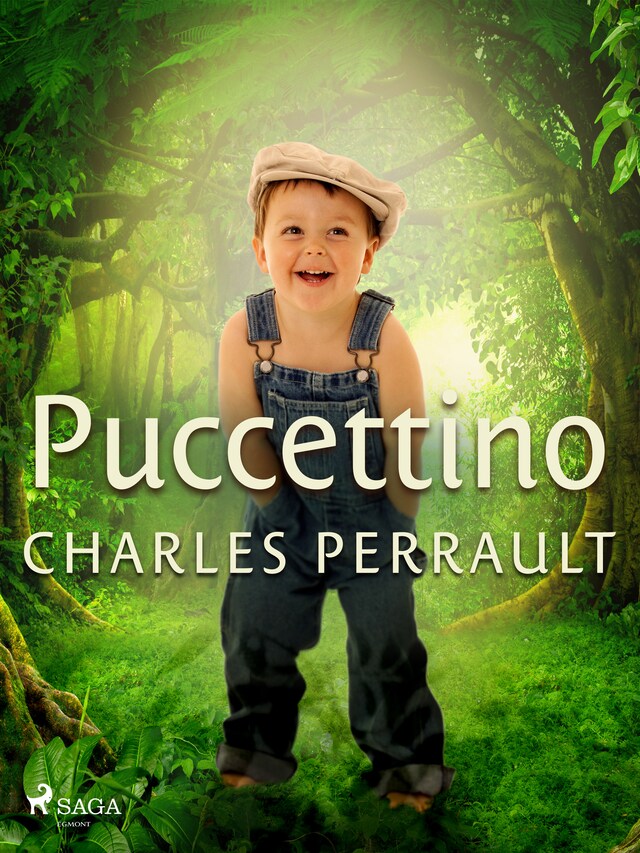 Book cover for Puccettino