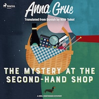 The Mystery at the Second-Hand Shop