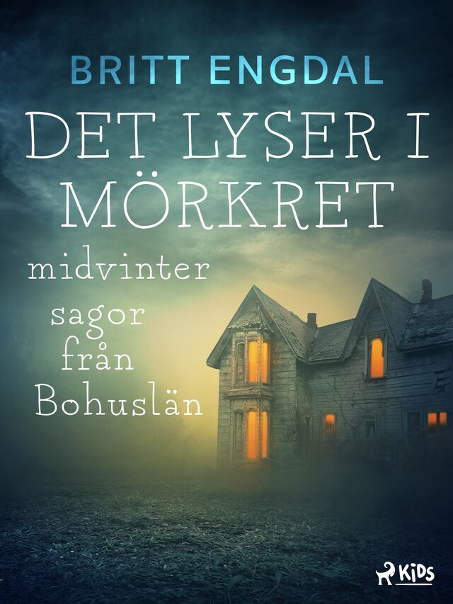 Couverture de livre pour Det lyser i mörkret: midvintersagor från Bohuslän