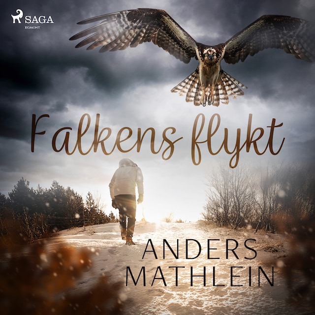 Book cover for Falkens flykt