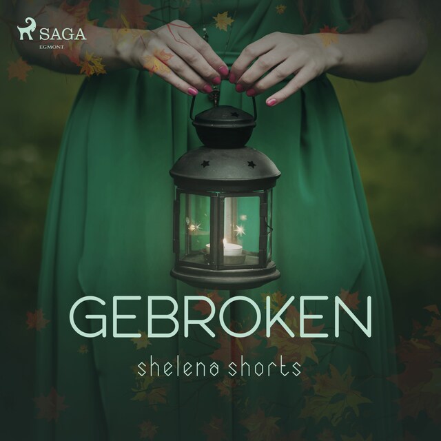 Book cover for Gebroken