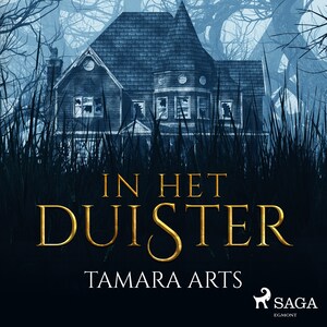In het duister - luisterboek