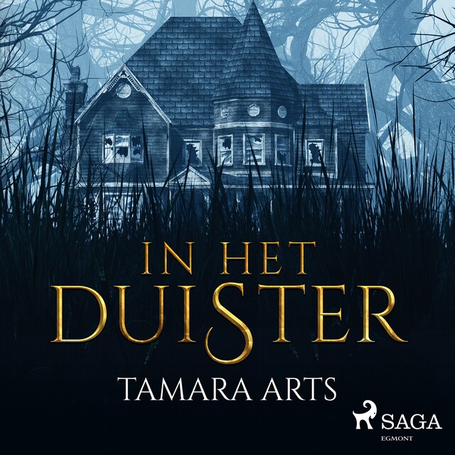 Book cover for In het duister