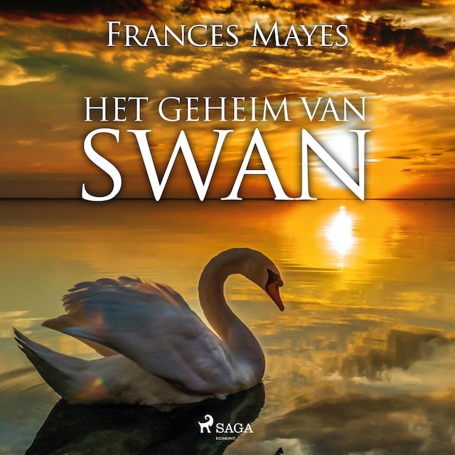 Boekomslag van Het geheim van Swan