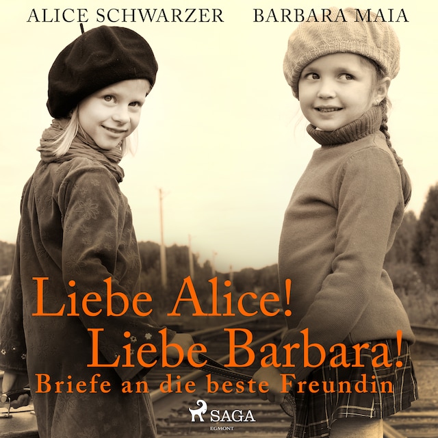 Book cover for Liebe Alice! Liebe Barbara! Briefe an die beste Freundin