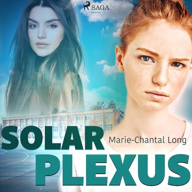 Book cover for Solar plexus