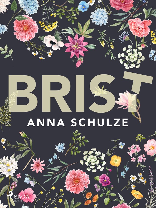 Book cover for Brist