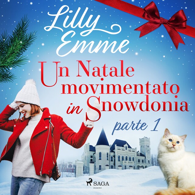 Book cover for Un Natale movimentato in Snowdonia – parte 1