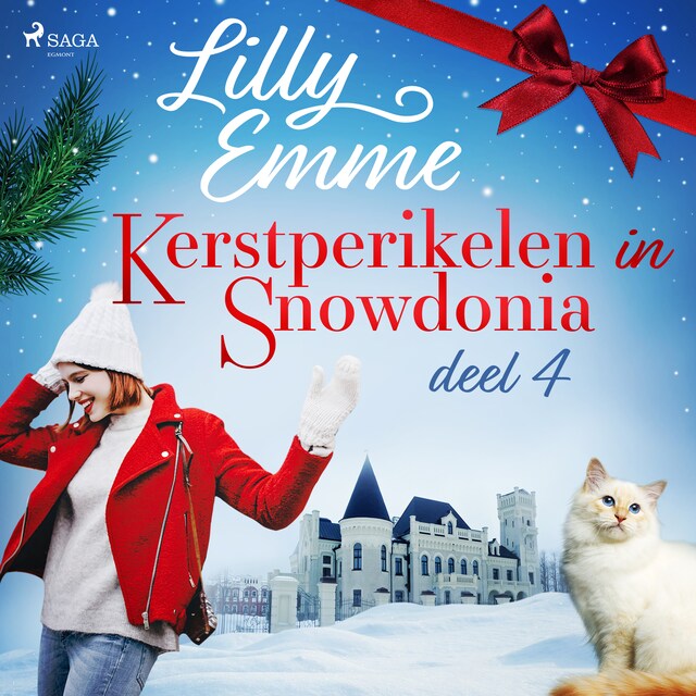 Copertina del libro per Kerstperikelen in Snowdonia – deel 4