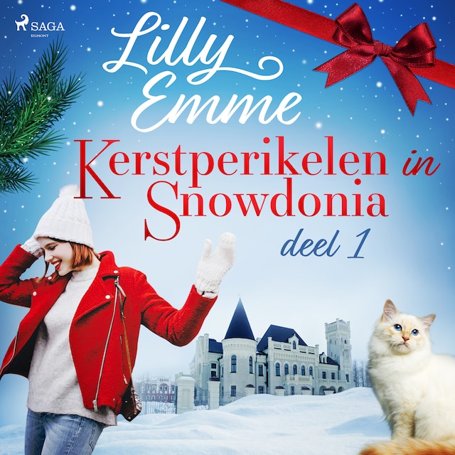Book cover for Kerstperikelen in Snowdonia – deel 1