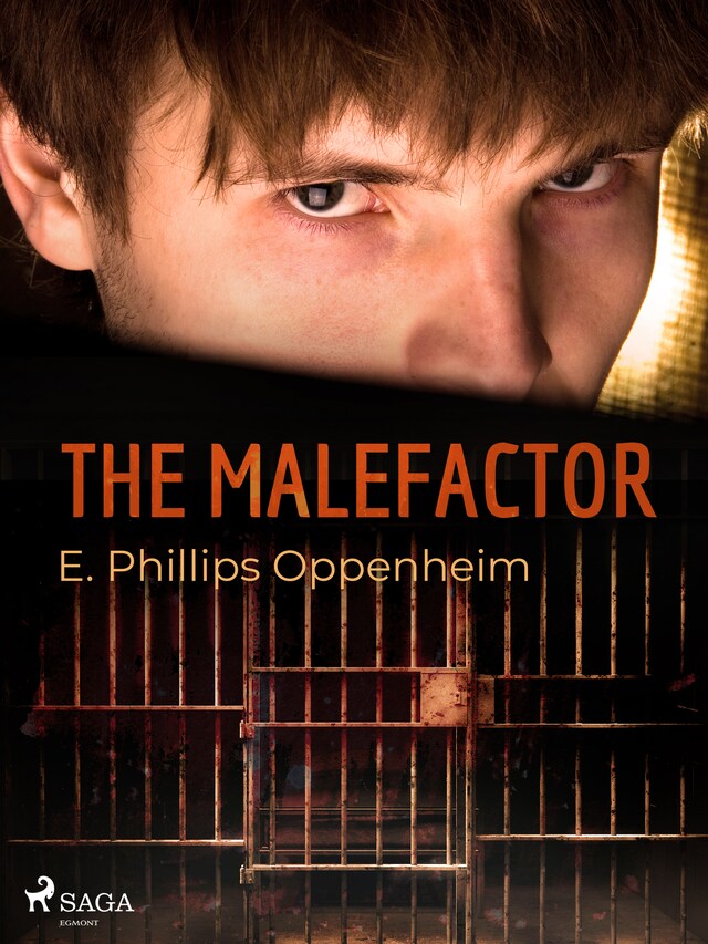 The Malefactor Buchcover für The Malefactor