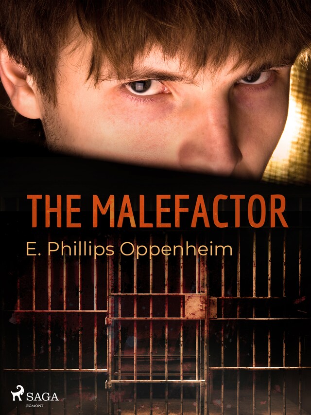 The Malefactor