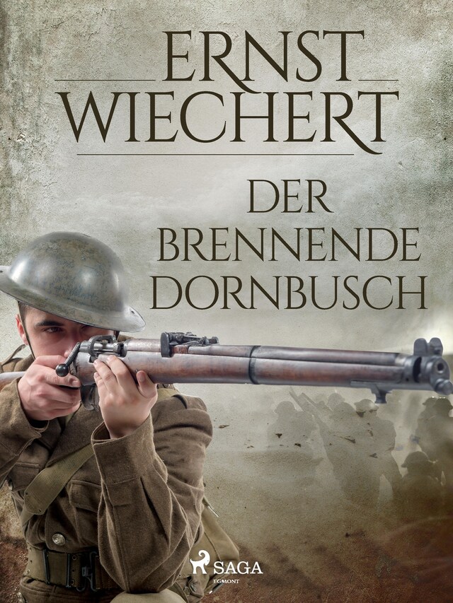 Portada de libro para Der brennende Dornbusch