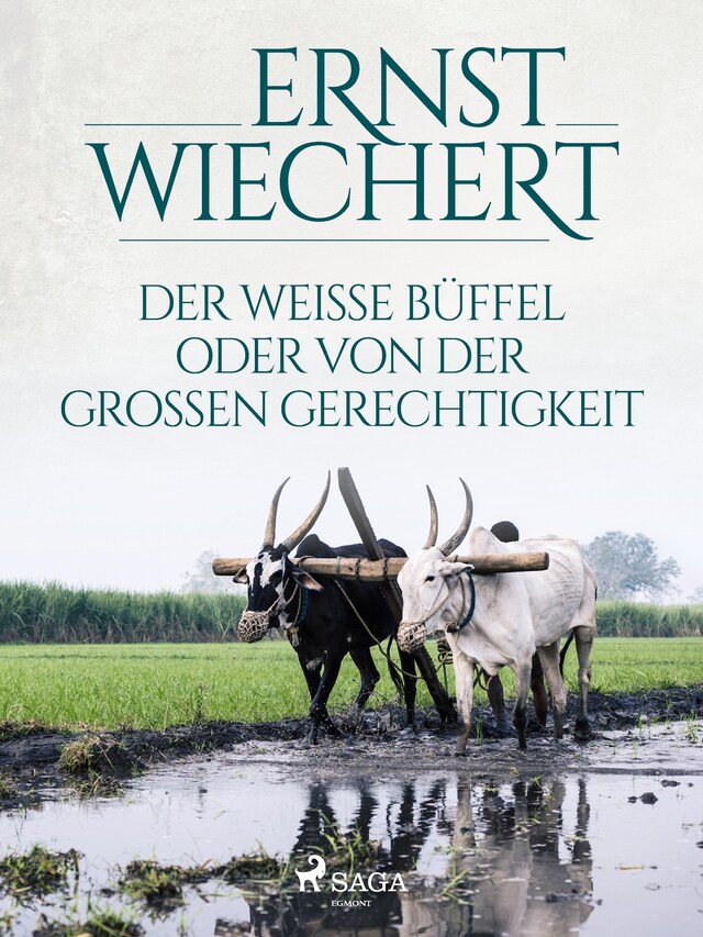 Boekomslag van Der weiße Büffel, oder Von der großen Gerechtigkeit