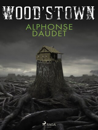 Wood’stown bookCoverFor