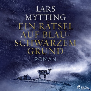 Ein Rätsel auf blauschwarzem Grund als Hörbuch