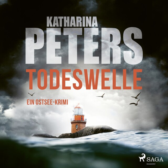 Book cover for Todeswelle: Ein Ostsee-Krimi (Emma Klar ermittelt 6)
