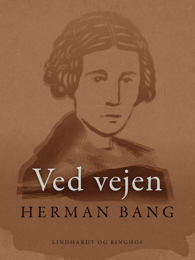 Book cover for Ved vejen