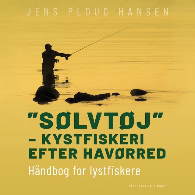 Buchcover für "Sølvtøj" – kystfiskeri efter havørred. Håndbog for lystfiskere