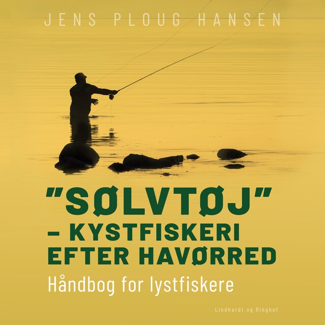 Couverture de livre pour "Sølvtøj" – kystfiskeri efter havørred. Håndbog for lystfiskere