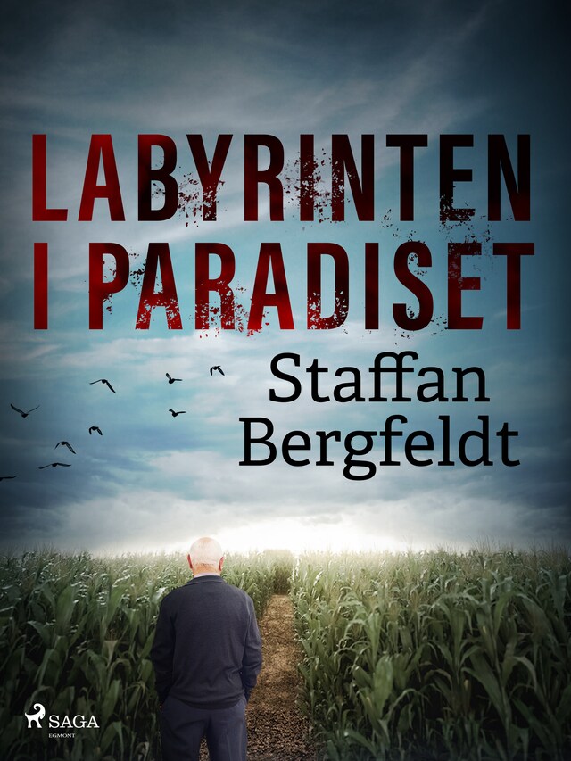 Okładka książki dla Labyrinten i paradiset