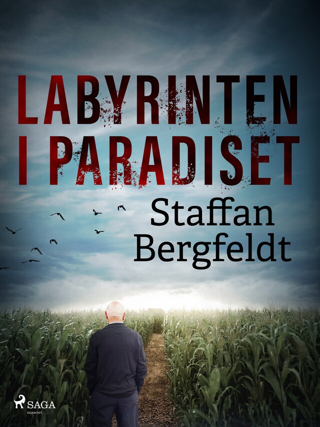 Copertina del libro per Labyrinten i paradiset