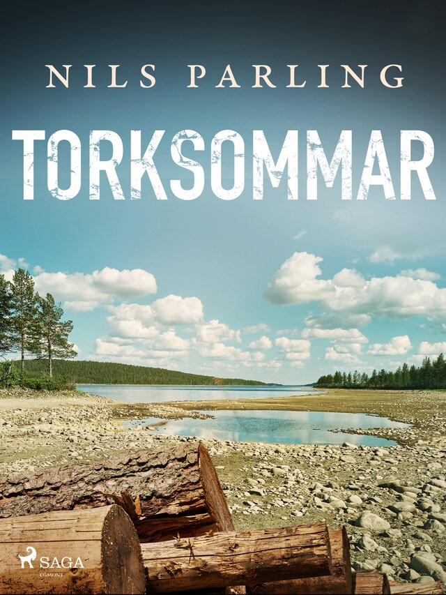 Boekomslag van Torksommar