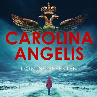 Dominoeffekten bookCoverFor