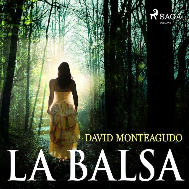 Book cover for La balsa