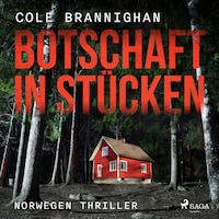 Botschaft in Stücken: Norwegen-Thriller