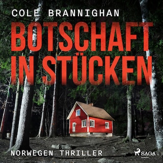 Botschaft in Stücken: Norwegen-Thriller als Hörbuch