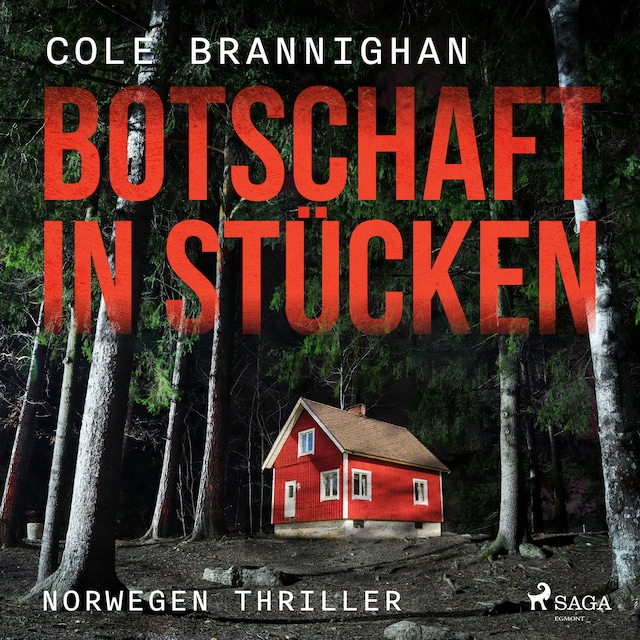 Book cover for Botschaft in Stücken: Norwegen-Thriller
