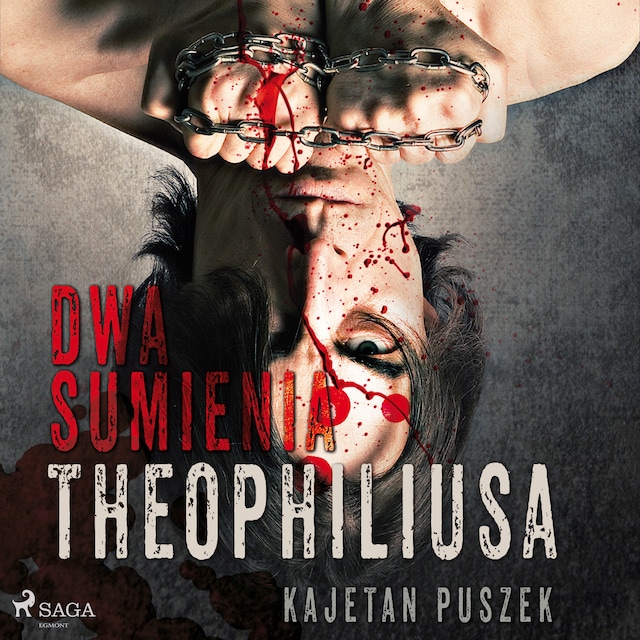 Book cover for Dwa sumienia Theophiliusa