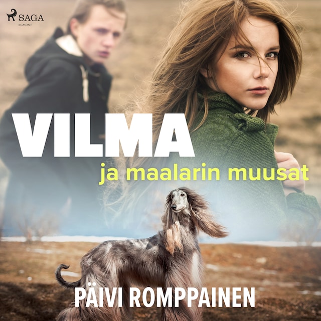 Book cover for Vilma ja maalarin muusat