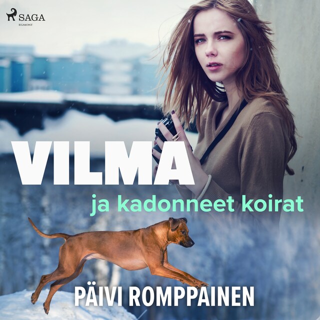 Book cover for Vilma ja kadonneet koirat
