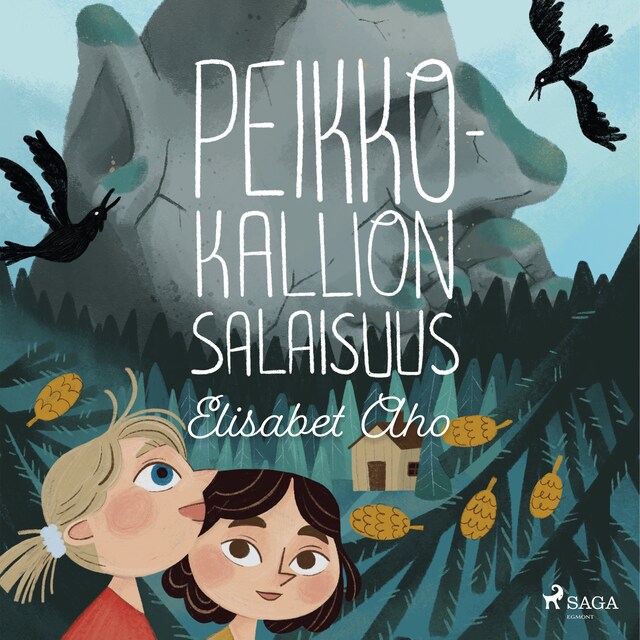 Book cover for Peikkokallion salaisuus