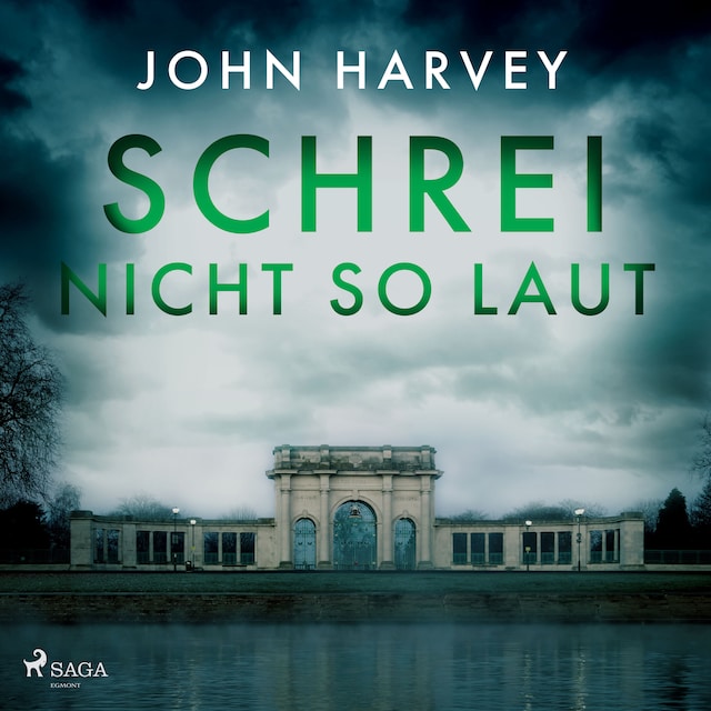 Book cover for Schrei nicht so laut