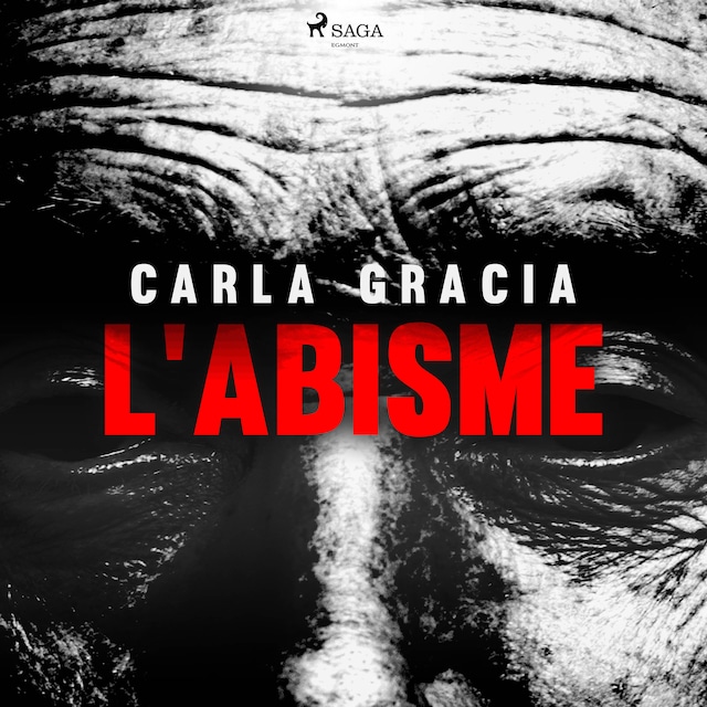 Book cover for L'abisme