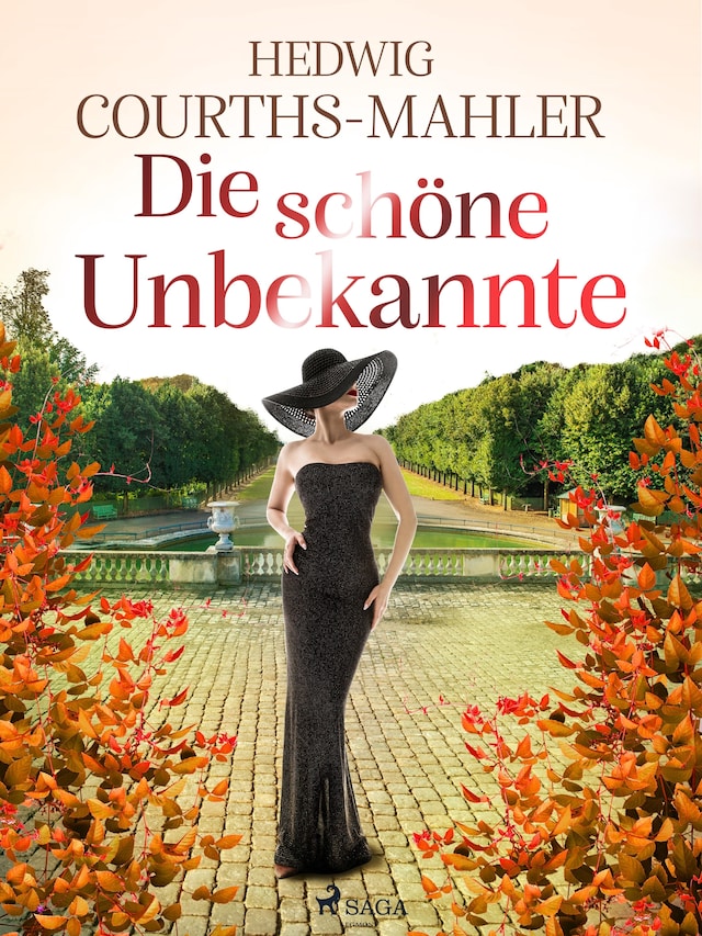 Book cover for Die schöne Unbekannte