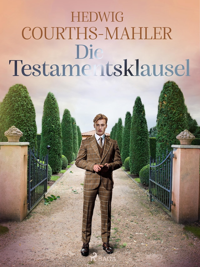 Book cover for Die Testamentsklausel