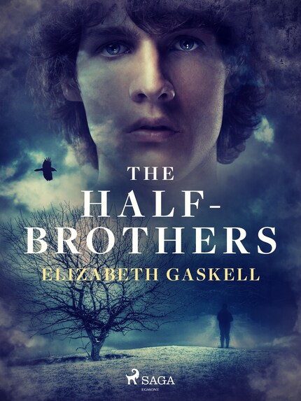 The Half-Brothers bookCoverFor