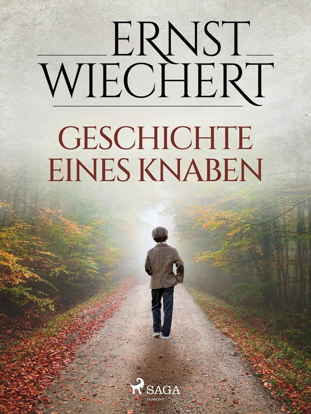 Copertina del libro per Geschichte eines Knaben