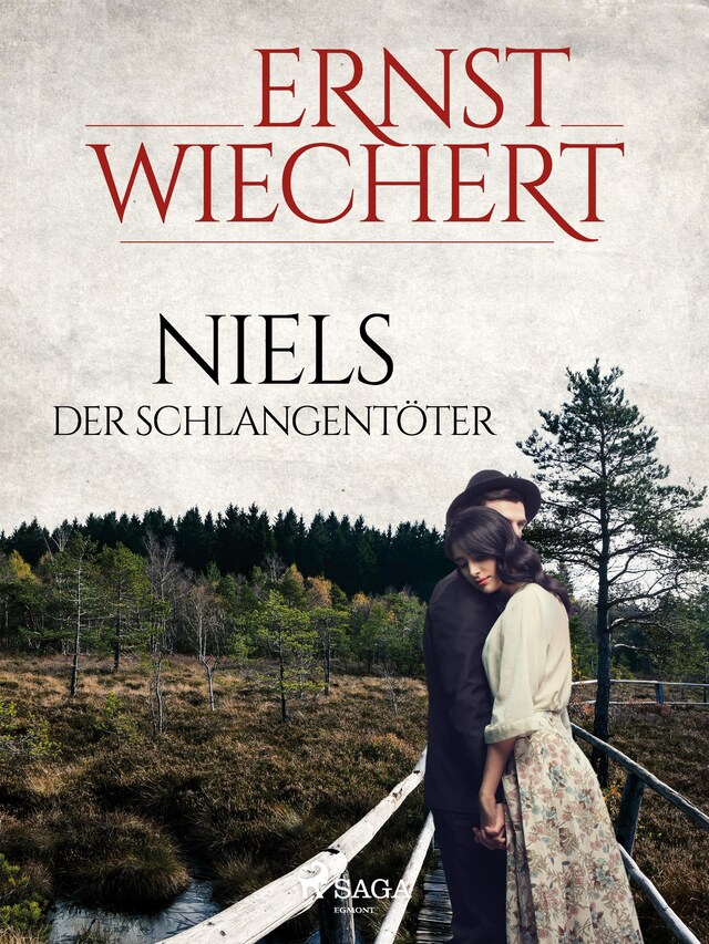 Copertina del libro per Niels der Schlangentöter