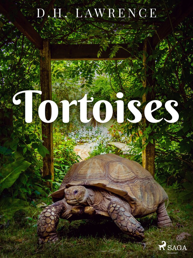 Portada de libro para Tortoises