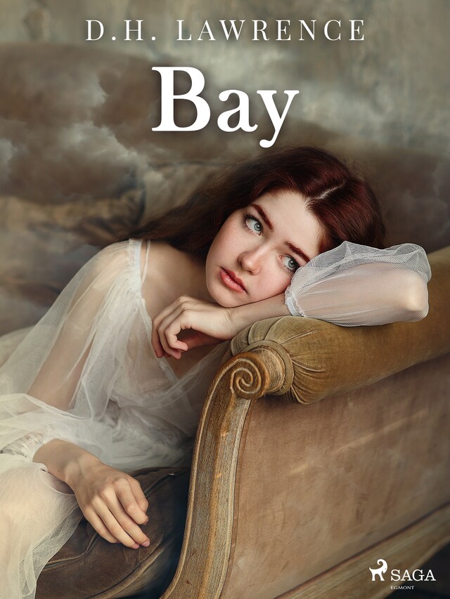 Book cover for Bay