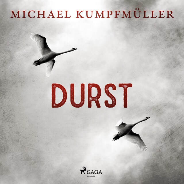 Book cover for Durst
