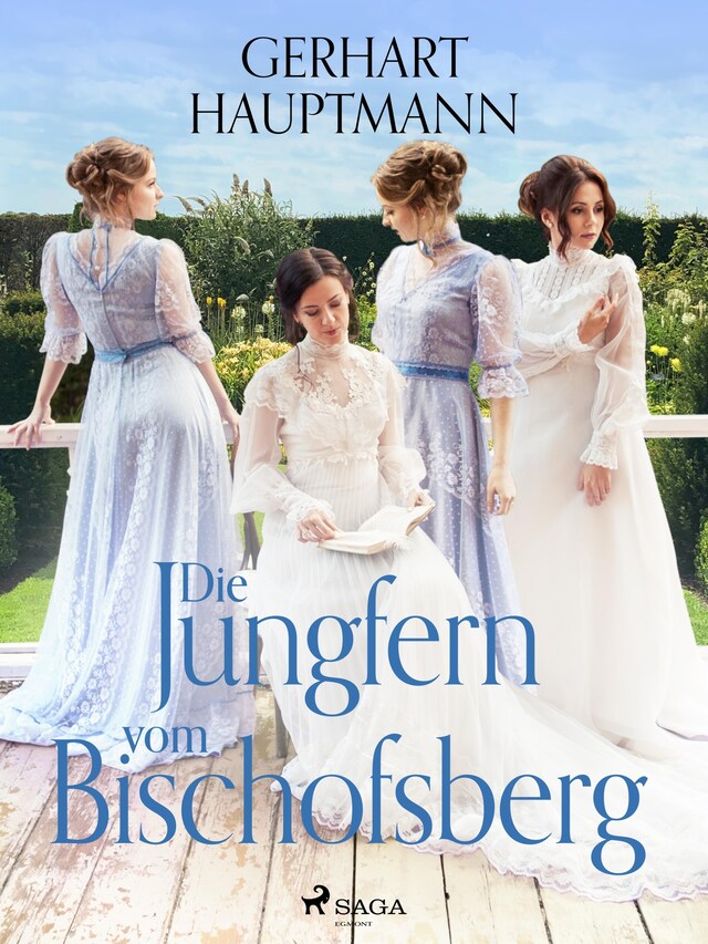 Book cover for Die Jungfern vom Bischofsberg