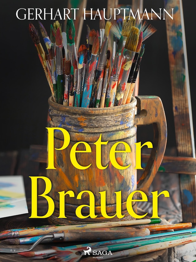 Boekomslag van Peter Brauer