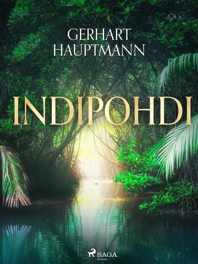 Book cover for Indipohdi