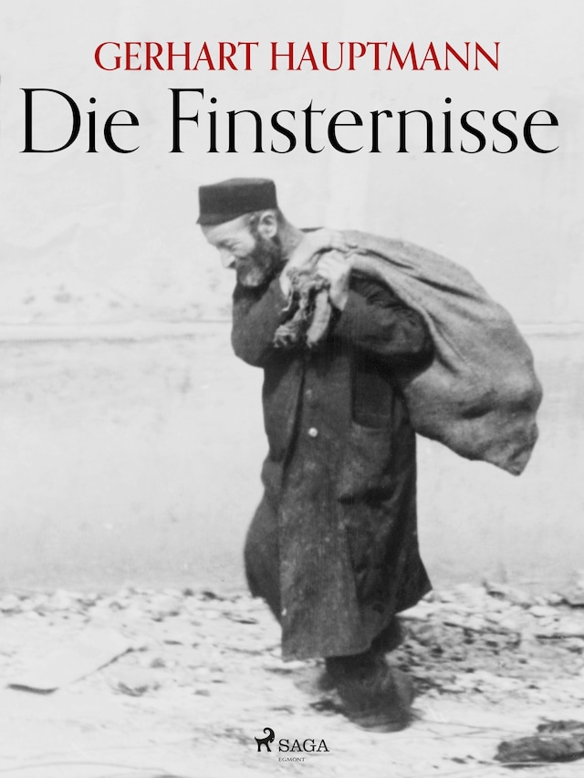 Book cover for Die Finsternisse